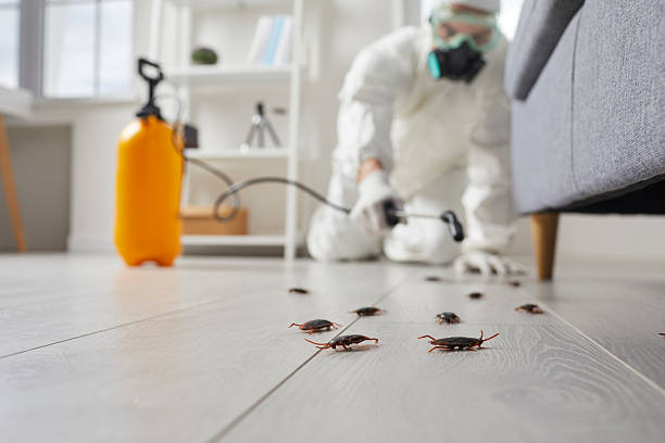 Post-Treatment Bed Bug Interceptor Monitoring in Moultrie