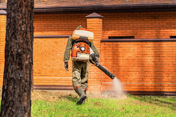 Bed Bug Clearance Verification and Documentation in Moultrie